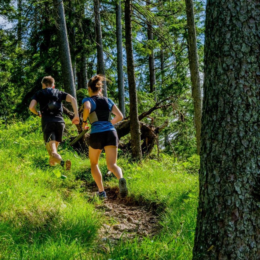 Appartamento Hoamatgfuehl Vorderhornbach Esterno foto